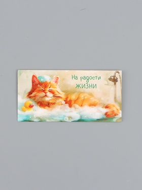 Конверт для денег «На радости жизни», котик в пене, 16,5 х 8 см 10939419