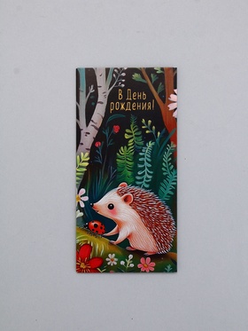 Конверт для денег «С Днем Рождения!», ёжик, 16,5 х 8 см 10939487