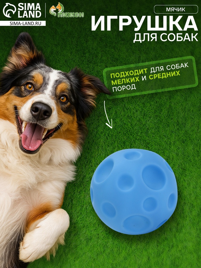 Игрушка пищащая Мячик для собак, 6,5 см, голубая