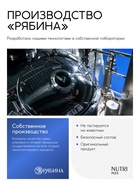 Шампунь для волос «Мужской 2в1», 400 мл, BONAMI - фото 23597790