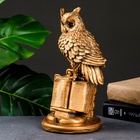 УЦЕНКА Копилка «Сова в книге малая» бронза, 14×17×27 см 10961692