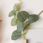 УЦЕНКА Крючки декоративные дерево «Абстракция. Цветок в вазе» 1.5×23.5×12.5 см 10961704