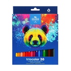 УЦЕНКА Карандаши Jumbo 36цв K-I-N 3145 Triocolor bear, трехгранные, карт/уп 10962522