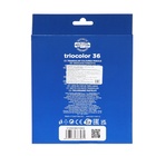 УЦЕНКА Карандаши Jumbo 36цв K-I-N 3145 Triocolor bear, трехгранные, карт/уп 10962522