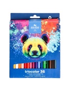 УЦЕНКА Карандаши Jumbo 36цв K-I-N 3145 Triocolor bear, трехгранные, карт/уп 10962522