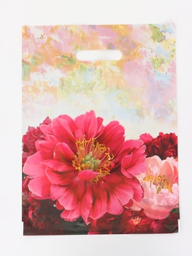 Пакет подарочный «Прима», полиэтиленовый с вырубной ручкой, 30×40 см, 50 мкм (50 шт)