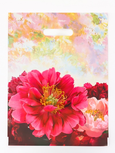 Пакет подарочный «Прима», полиэтиленовый с вырубной ручкой, 30×40 см, 50 мкм