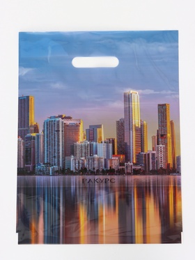 Пакет «Ракурс», полиэтиленовый с вырубной ручкой, 30×40 см, 60 мкм 10371009 (50 шт)