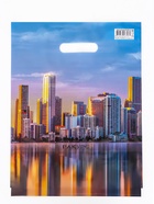 Пакет «Ракурс», полиэтиленовый с вырубной ручкой, 30×40 см, 60 мкм 10371009 - Фото 2