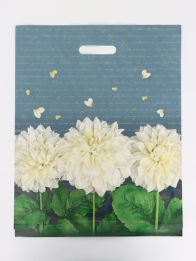 Пакет подарочный «Аллегория», полиэтиленовый с вырубной ручкой 40×50 см, 80 мкм (50 шт)