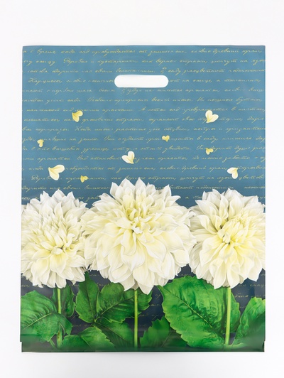 Пакет подарочный «Аллегория», полиэтиленовый с вырубной ручкой 40×50 см, 80 мкм