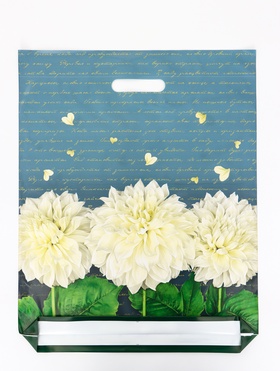 Пакет подарочный «Аллегория», полиэтиленовый с вырубной ручкой 40?50 см, 80 мкм (комплект 50 шт)