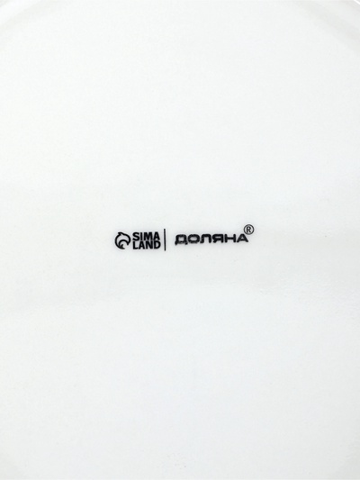 Тарелки обеденные Доляна White Label, набор 4 шт., d=25 см, фарфор, белые