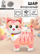 Воздушный шар фольгированный 22" «Розовая кошка», фигура под воздух (5 шт) - фото 809349616