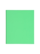 УЦЕНКА Папка на 4 кольцах А4 35мм ErichKrause "Neon" ламинир, зелёная 39061 10963129