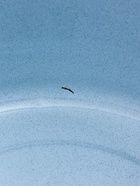 УЦЕНКА Кастрюля цилиндрическая, 10 л, без декора, без крышки, слоновая - Фото 10