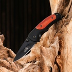 УЦЕНКА Нож складной «Хищник», в подарочной коробке 10963233