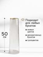 Ваза напольная «Линней», 50×15 см, стекло, прозрачная - фото 63128252