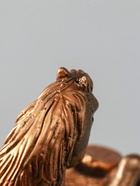 УЦЕНКА Копилка "Конь на деньгах" 20х20х13 см, бронза - Фото 12