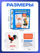 Магнитные карточки по методике Домана «Животные», 32 карты, 3+ - фото 119823221