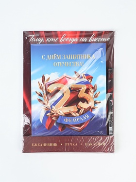 Набор: ежедневник А5, 80 листов, стикеры и ручка "Тому кто всегда на высоте"
