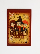 Набор: ручка с фонариком и невидимыми чернилами, блокнот А6, 16 л "Набор волшебника" 10900758