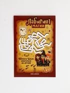 Набор: ручка с фонариком и невидимыми чернилами, блокнот А6, 16 л "Набор волшебника" 10900758