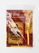 Набор: ручка с фонариком и невидимыми чернилами, блокнот А6, 16 л "Набор волшебника" 10900758