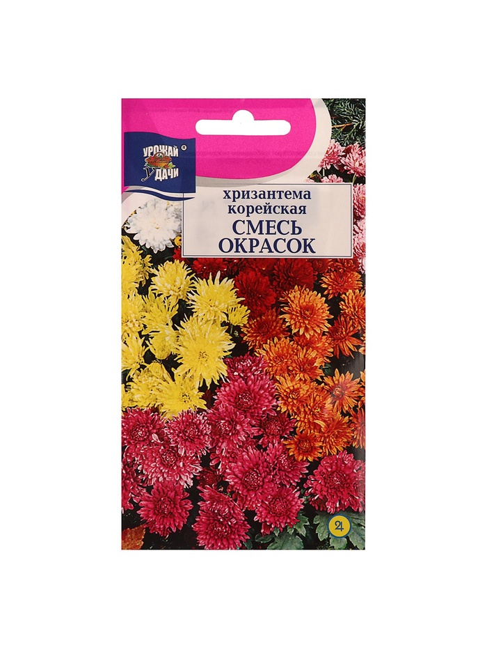 Набор семян Хризантема Корейская, низкорослая смесь, 5 шт. - Фото 1