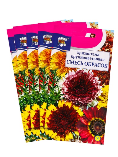 Набор семян Хризантема многолетняя «Смесь окрасок», крупноцветковая, 5 шт. «Мой выбор»