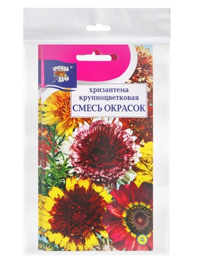 Набор семян Хризантема многолетняя "Смесь окрасок", крупноцветкова, 5 шт.