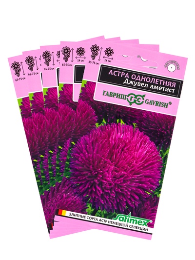 Набор семян Астра игольчато-коготковая "Джувел Аметист", однолетняя, 5 шт.