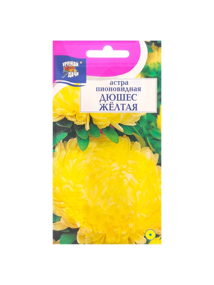 Набор семян Астра пионовидная "Дюшес", желтая, 5 шт. - Фото 1