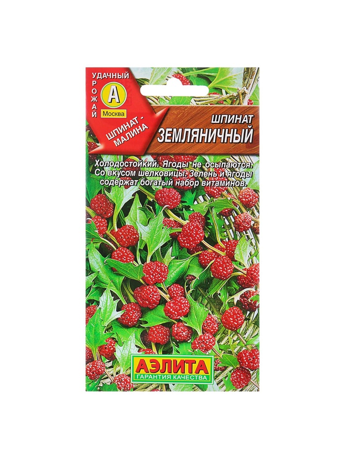 Набор семян Шпинат "Земляничный", 5 шт. - Фото 1