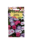 Набор семян комнатных Барвинок "Щеголь",  5 шт. - Фото 1