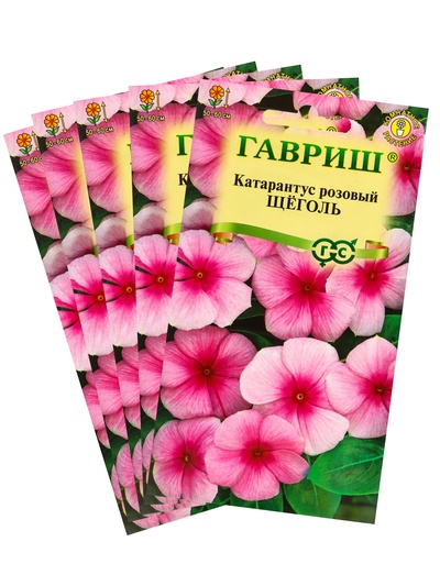 Набор семян комнатных Барвинок "Щеголь", 5 шт.