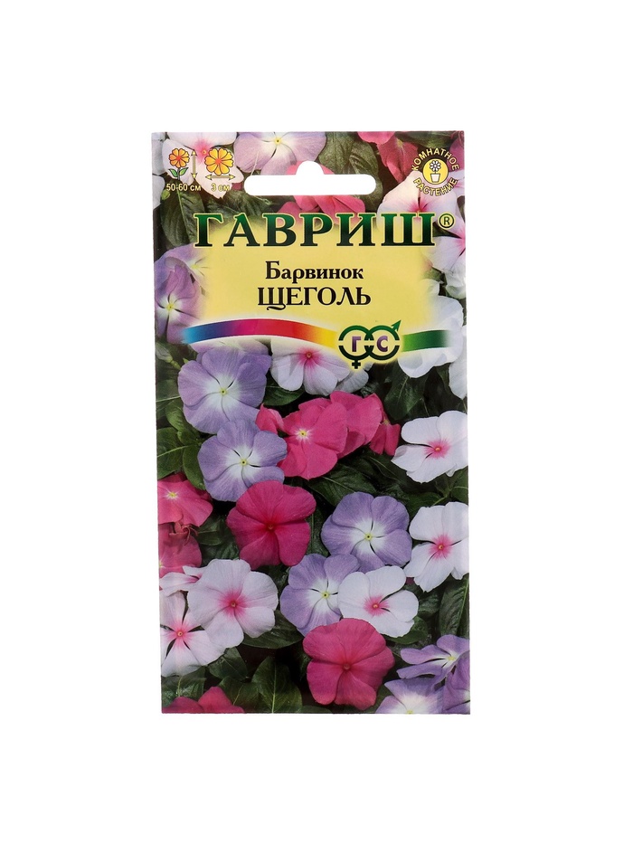 Набор семян комнатных Барвинок "Щеголь",  5 шт. - Фото 1