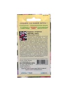 Набор семян комнатных Барвинок "Щеголь",  5 шт. - Фото 2