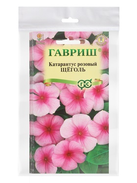 Набор семян комнатных Барвинок "Щеголь",  5 шт.