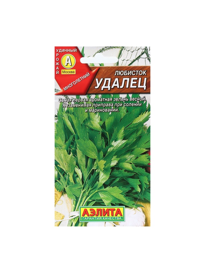 Набор семян Любисток "Удалец", пряность, 5 шт. - Фото 1