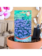 Набор семян Лобелия "Император Вильям", 5 шт. - Фото 3