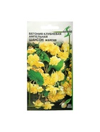 Набор семян Бегония ампельная "Шансон" клубневая, желтая, 5 шт. - Фото 1