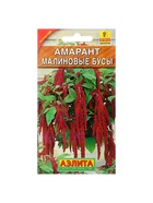 Набор семян Амарант "Малиновые бусы", О, 5 шт. - Фото 1