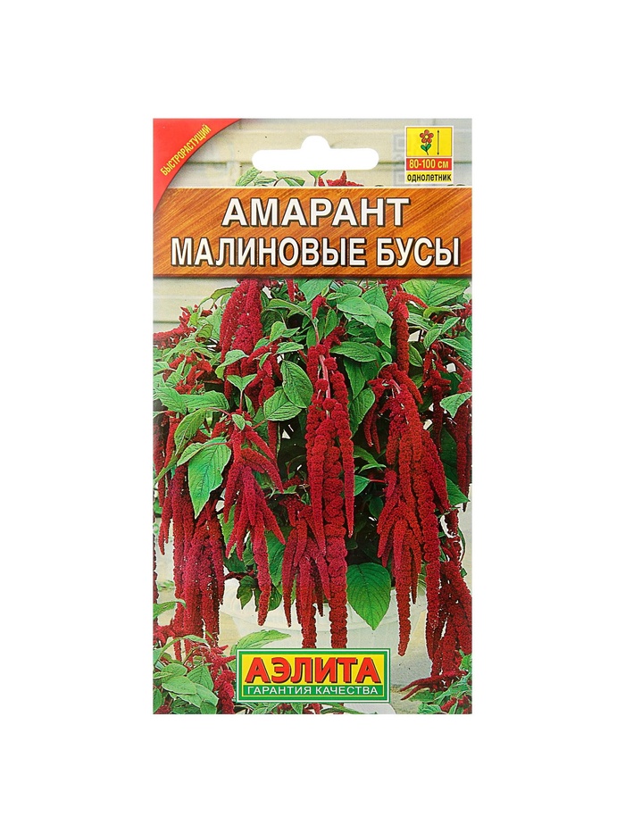 Набор семян Амарант "Малиновые бусы", О, 5 шт. - Фото 1