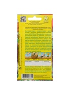 Набор семян Амарант "Малиновые бусы", О, 5 шт. - Фото 3