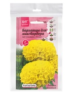 Набор семян Бархатцы "Тайшань желтый", 5 шт. - фото 23280337