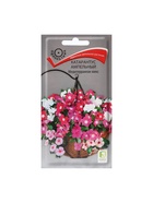 Набор семян Катарантус ампельный "Медитерранеан Микс", 3 шт. - фото 61955601