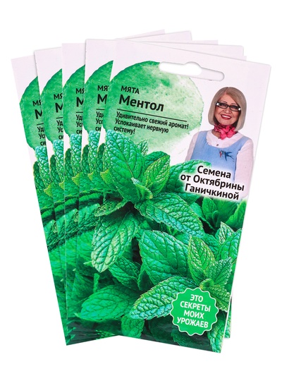 Набор семян Мята "Ментол", 5 шт.