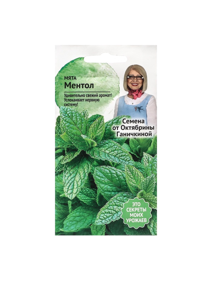 Набор семян Мята "Ментол", 5 шт. - Фото 1