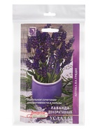 Набор семян Лаванда декоративная "Услада", 5 шт. - фото 23280344